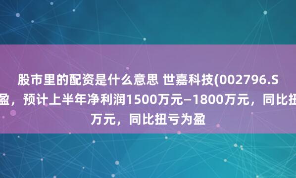 股市里的配资是什么意思 世嘉科技(002796.SZ)发预盈，预计上半年净利润1500万元—1800万元，同比扭亏为盈