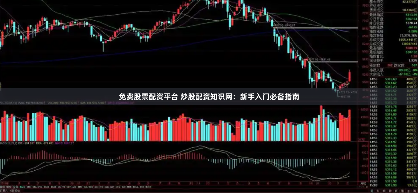 免费股票配资平台 炒股配资知识网：新手入门必备指南